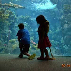 Meet your Posher, Stephenie